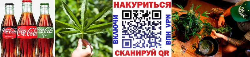 купить наркотики сайты  Новотитаровская  Еда ТГК марихуана 