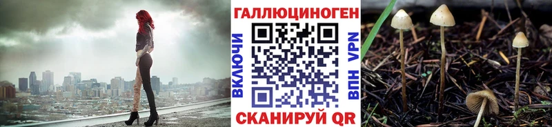 OMG онион  Новотитаровская  Псилоцибиновые грибы Psilocybine cubensis 